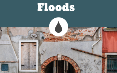 WHAT TO DO WHEN YOUR HOUSE FLOODS